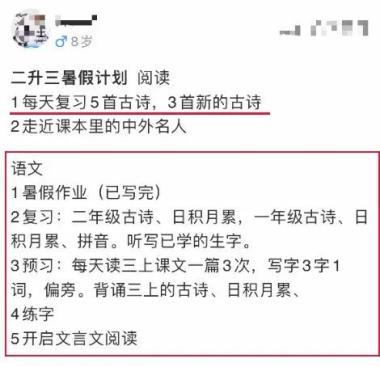 篮球教练如何制定总决赛的长期发展计划_1